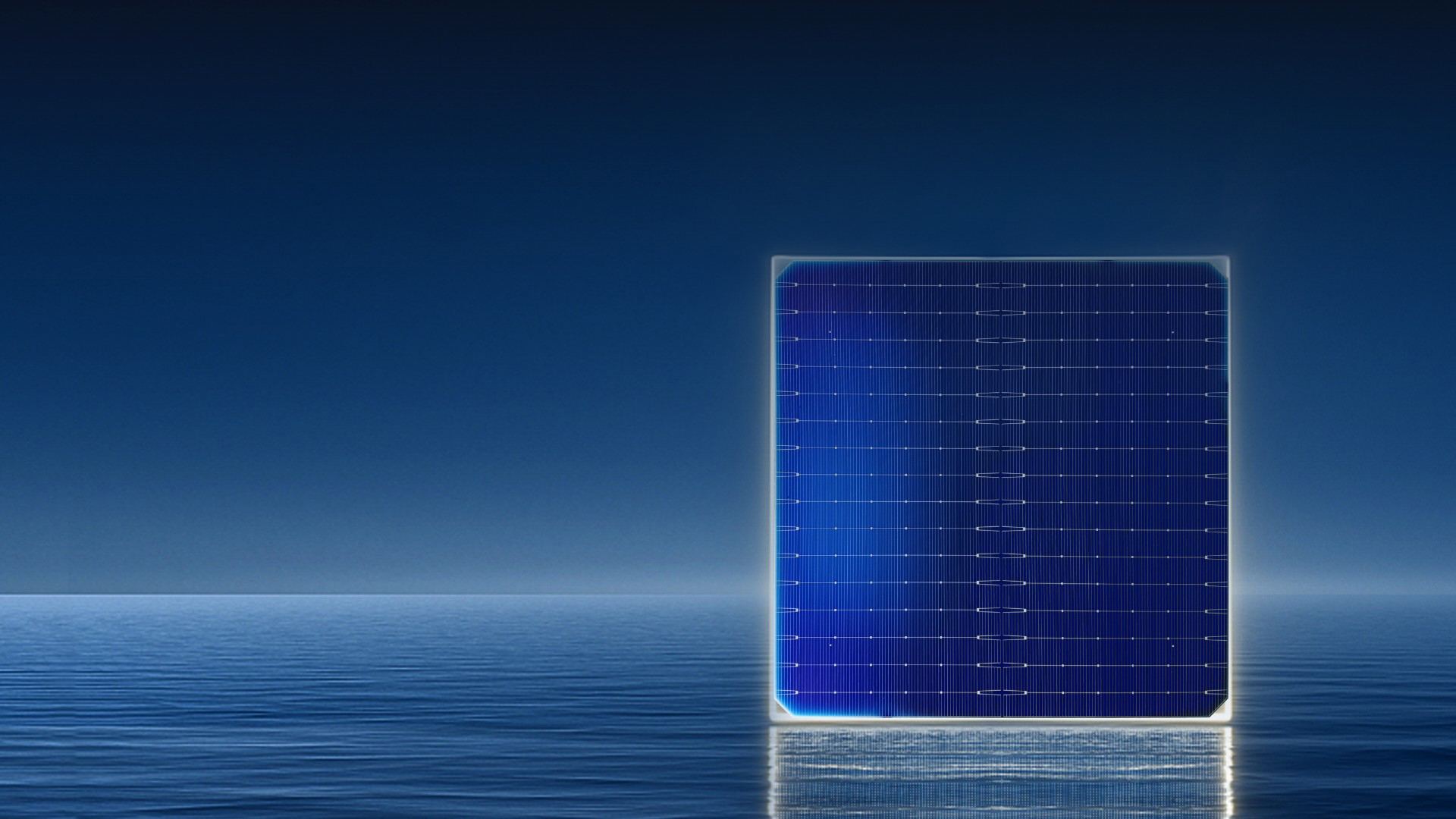 1win·(中国区)官方网站